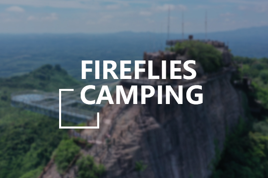 fireflies camping